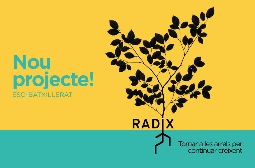 Radix, tornar a les arrels per continuar creixent, ESO-BATXILLERAT